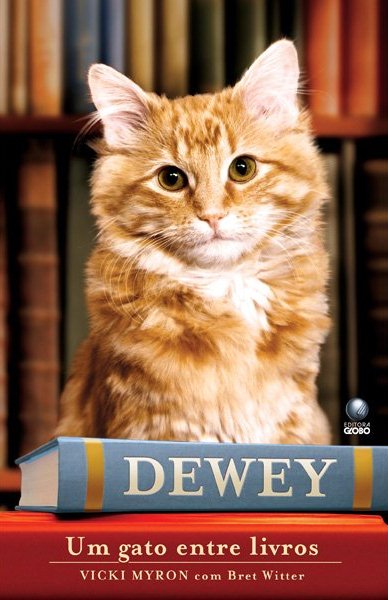 Dewey - um gato entre livros